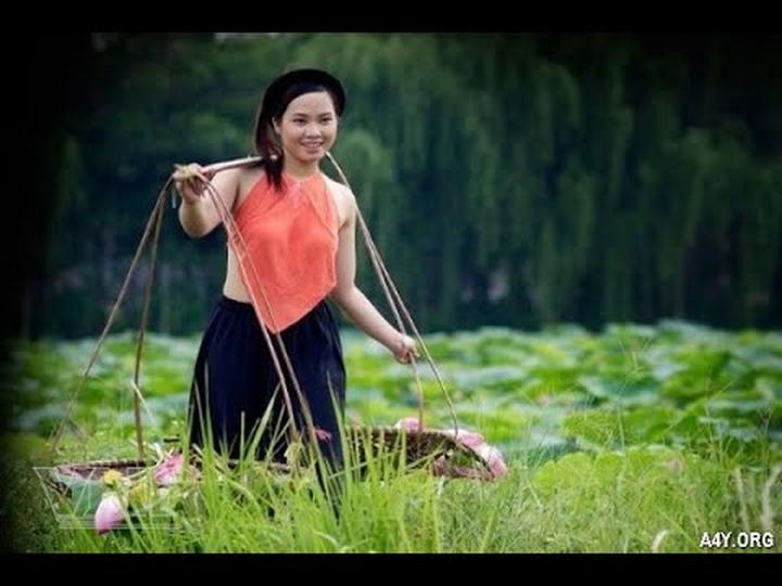 Hotspot Matrix và việc quản lý nội dung trong lĩnh vực dược