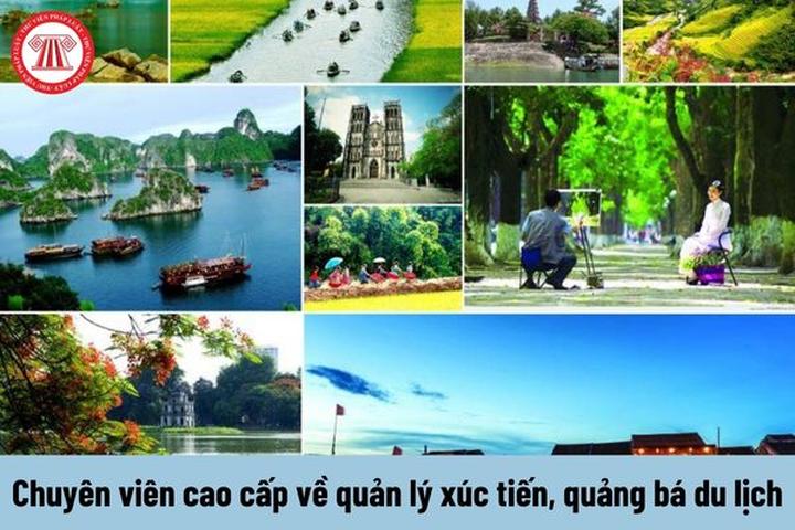 Hotspot Matrix và Cá Phổi Tây Phi: Sự Hợp Tác Để Bảo Vệ