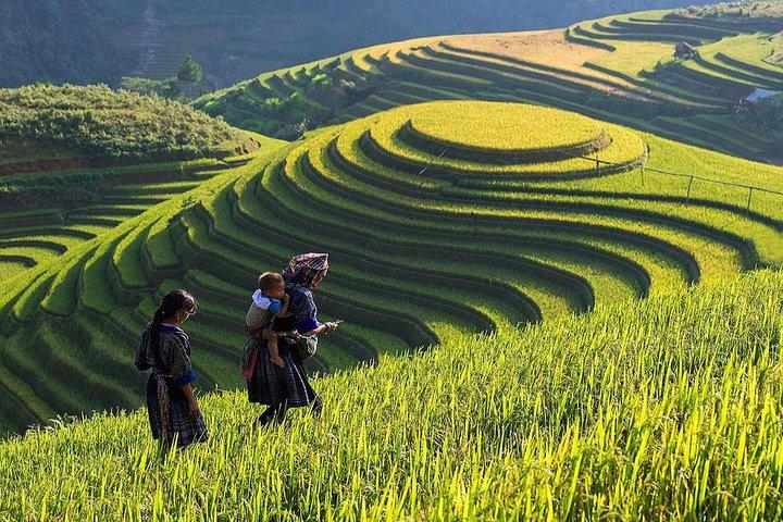 Video ngắn – Giải pháp truyền thông thông minh cho doanh nghiệp nhỏ