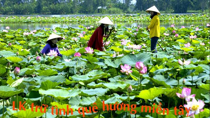 Làm Chủ Video Ngắn: Bí Quyết Thành Công Cùng Hotspot Matrix