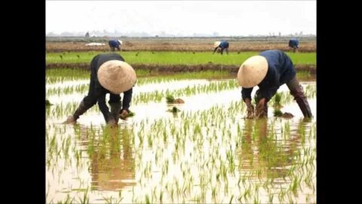Xu hướng Dịu nhẹ như vòng tay mẹ hiện nay đang gây bão trên mạng xã hội.