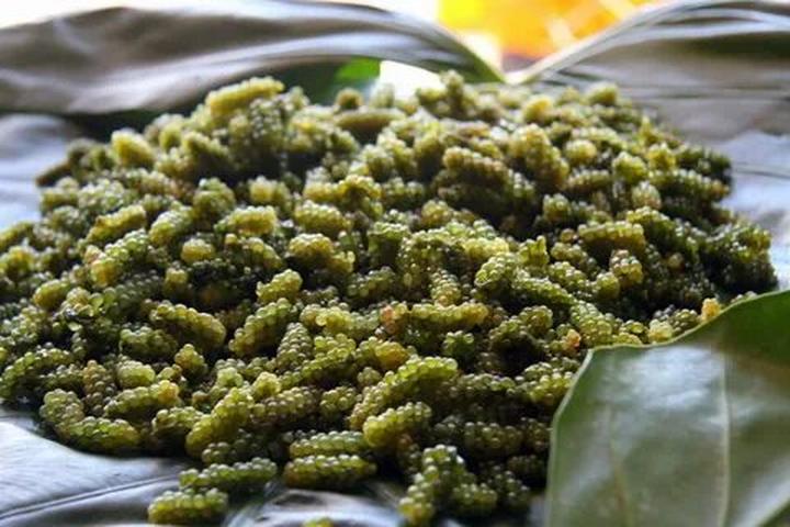 Loại cá được khen