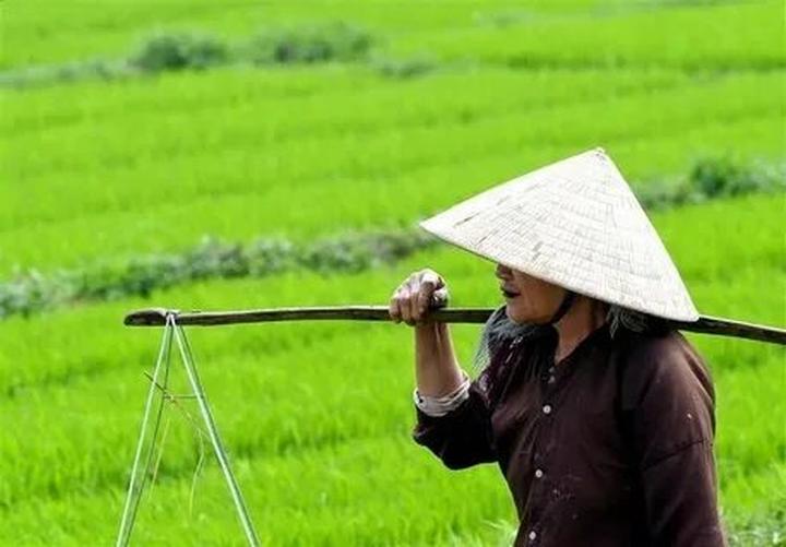 [Bố của Giám đốc 13 tuổi chia sẻ: Hotspot Matrix và nguyên tắc sản xuất nội dung video