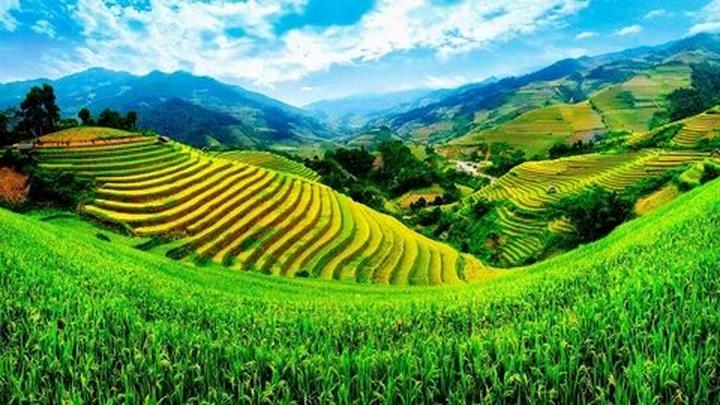 Phụ huynh “bắt trend”: Chọn - Cảm hứng video marketing từ Hotspot Matrix