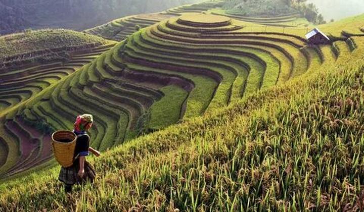 Hotspot Matrix: Biến “Dữ liệu không nói dối”: Khi thành cơ hội marketing đột phá